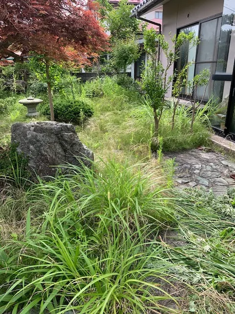 ビフォー